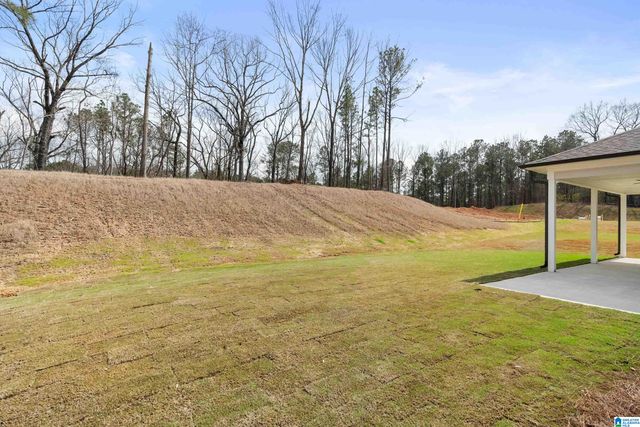 104 MCALPIN CIRCLE, Pelham, AL 35124