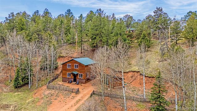 325 Willow Road, Divide, CO 80814