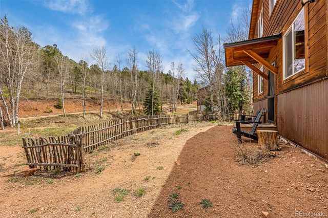 325 Willow Road, Divide, CO 80814