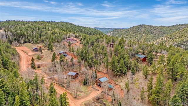 325 Willow Road, Divide, CO 80814