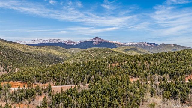 325 Willow Road, Divide, CO 80814