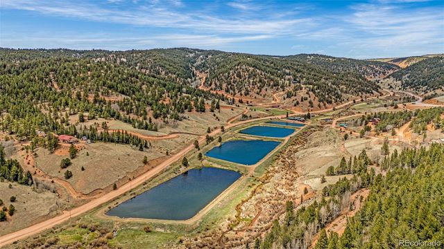 325 Willow Road, Divide, CO 80814