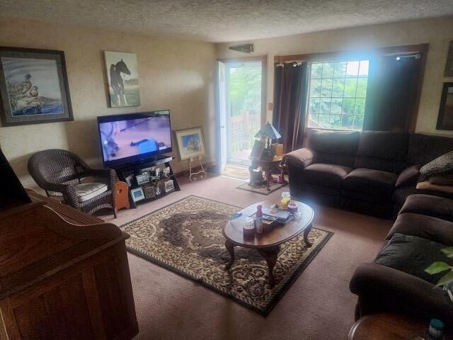 8083 Brown Road, Seneca Twp, MI 49256