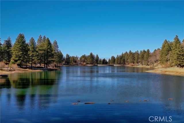 33389 Wild Cherry Drive, Green Valley Lake, CA 92341