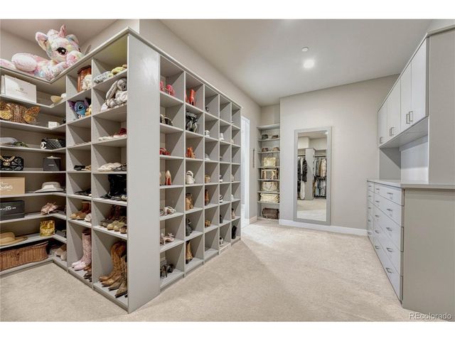 144 Stone Pointe Trl, Castle Rock, CO 80109