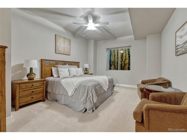 144 Stone Pointe Trl, Castle Rock, CO 80109