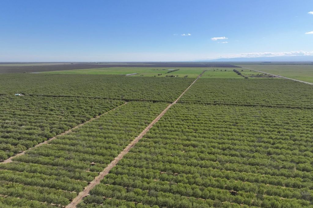 Image 19 of property listing at 11885 Road 9, Madera, CA 93637