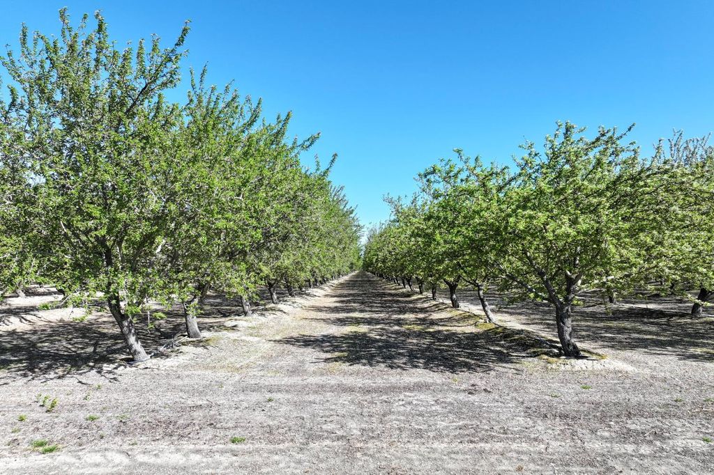 Image 21 of property listing at 11885 Road 9, Madera, CA 93637