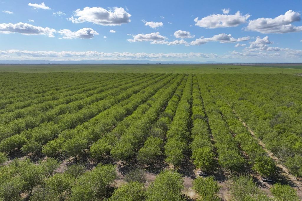 Image 3 of property listing at 11885 Road 9, Madera, CA 93637