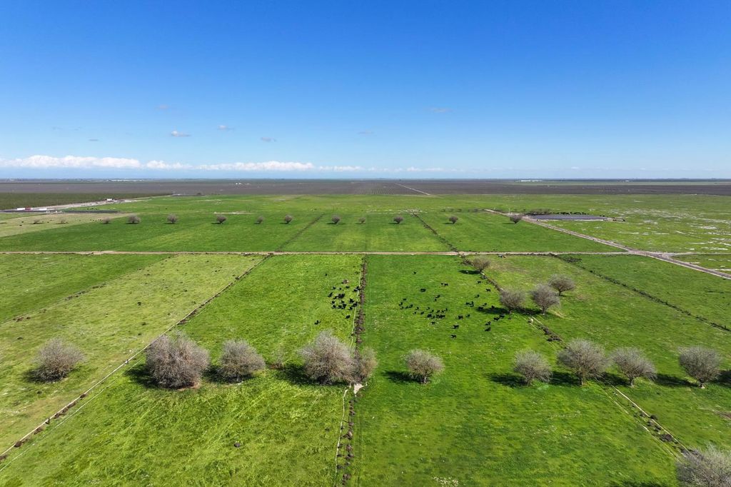Image 9 of property listing at 11885 Road 9, Madera, CA 93637