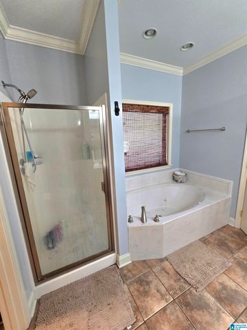 927 BENDING CREEK DRIVE, Bessemer, AL 35023