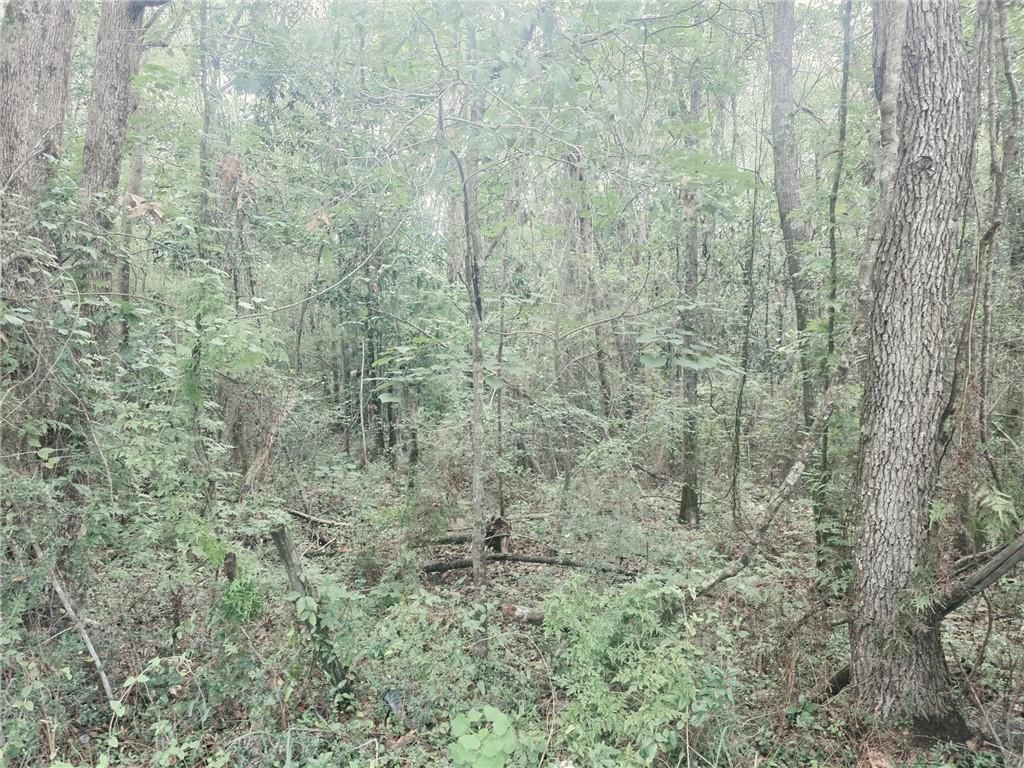 0 Two Mile Road, Irvington, AL 36544 — photo 2