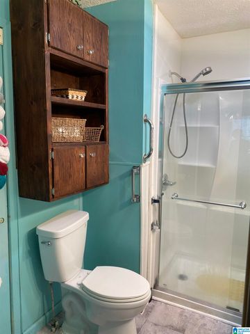 1309 ODENS MILL ROAD, Sylacauga, AL 35150