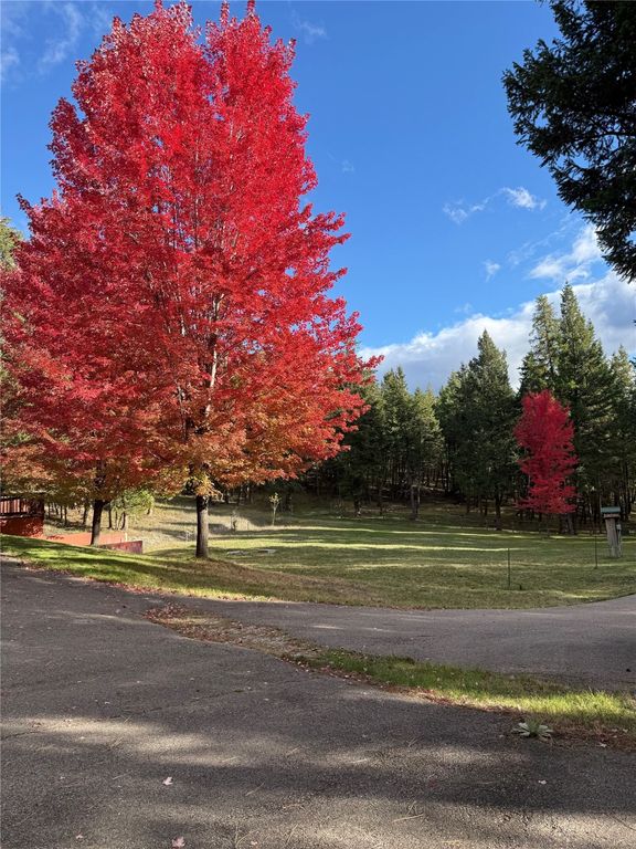 945 Truman Creek Road, Kila, MT 59920 photo 17