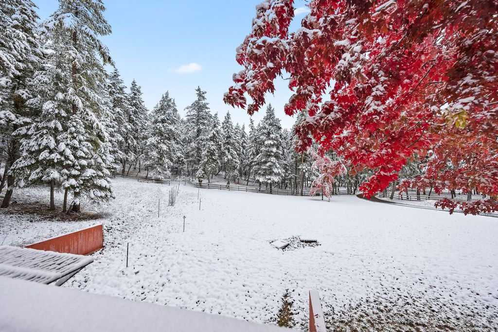 945 Truman Creek Road, Kila, MT 59920 photo 57