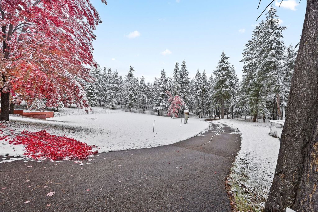 945 Truman Creek Road, Kila, MT 59920 photo 62