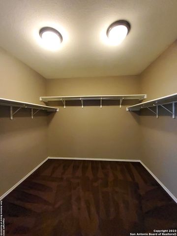 20223 OAK PANACHE, San Antonio, TX 78259