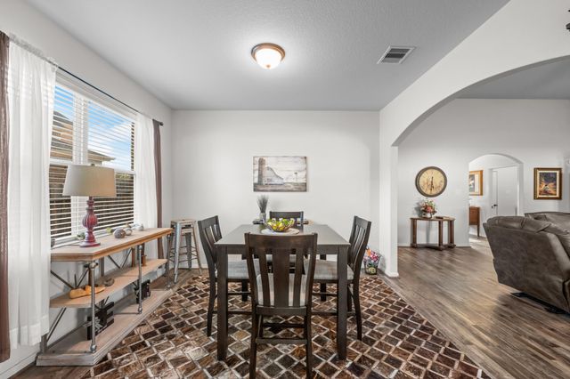 20434 Barrel Run Drive, Hockley, TX 77447