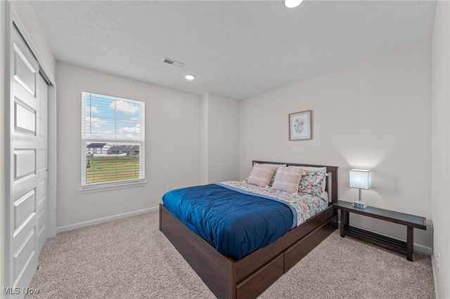 8924 Leatherleaf Drive, Columbia Station, OH 44028