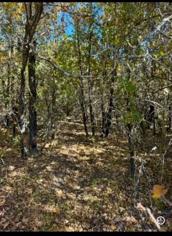 TBD E FM 2210 Highway, Perrin, TX 76486