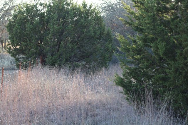 TBD E FM 2210 Highway, Perrin, TX 76486