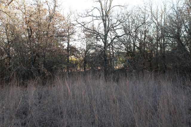 TBD E FM 2210 Highway, Perrin, TX 76486