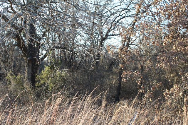 TBD E FM 2210 Highway, Perrin, TX 76486