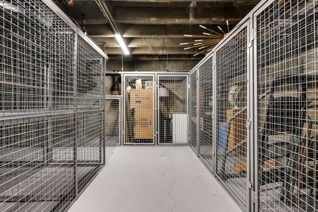 227 E Walton Place 12W, Chicago, IL 60611