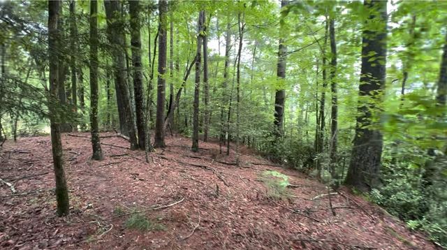 928 Fir Lane, Ellijay, GA 30540