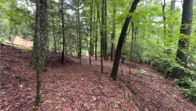 928 Fir Lane, Ellijay, GA 30540