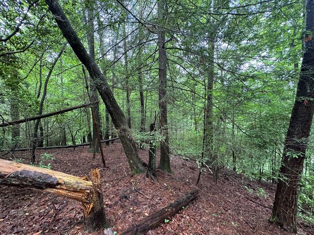 928 Fir Lane, Ellijay, GA 30540