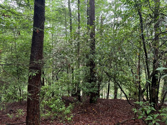 928 Fir Lane, Ellijay, GA 30540