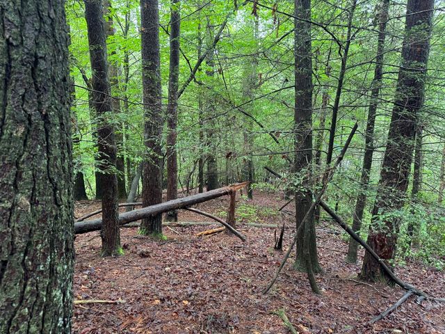928 Fir Lane, Ellijay, GA 30540
