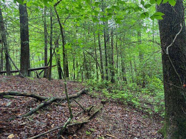 928 Fir Lane, Ellijay, GA 30540