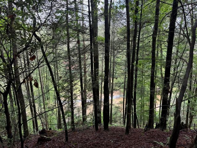 928 Fir Lane, Ellijay, GA 30540