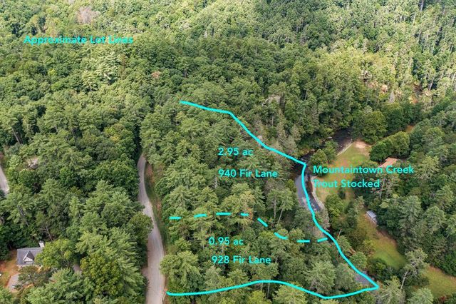 928 Fir Lane, Ellijay, GA 30540