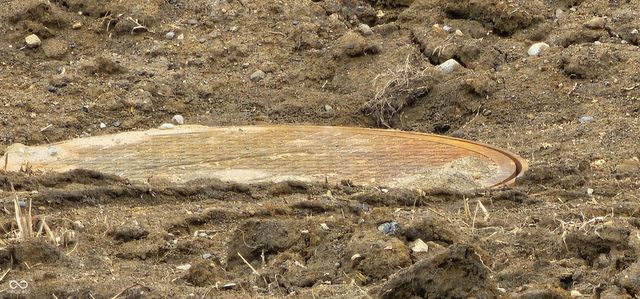 8340 S 750 W, Pendleton, IN 46064