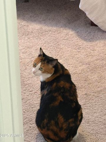 3203 W Loma Lane 5, Phoenix, AZ 85051