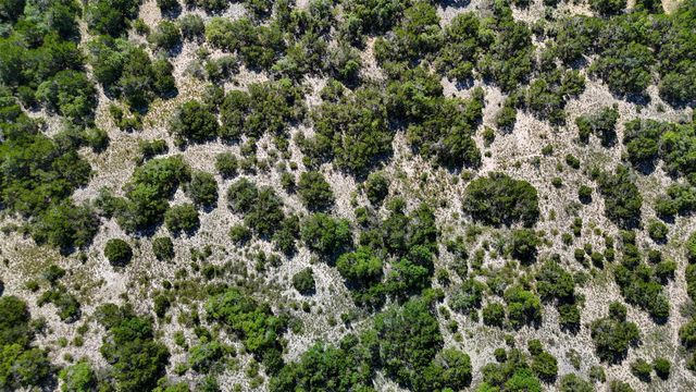 1215 Montell RD, Wimberley, TX 78676