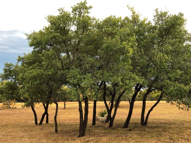 1215 Montell RD, Wimberley, TX 78676