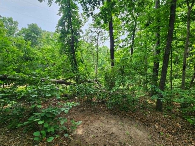 2132 Hidden Valley Dr, Nunnelly, TN 37137