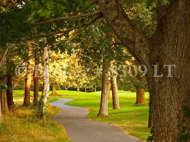 90 Eaton Lane UNIT 90, Brewster, MA 02631