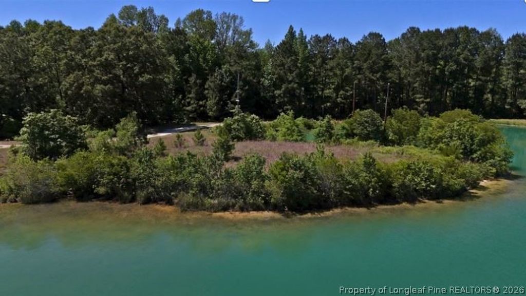 Lee Johnson Road, Dunn, NC 28334 — photo 3