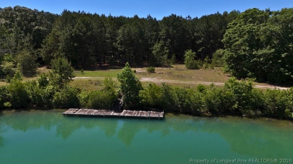 Lee Johnson Road, Dunn, NC 28334 — photo 4