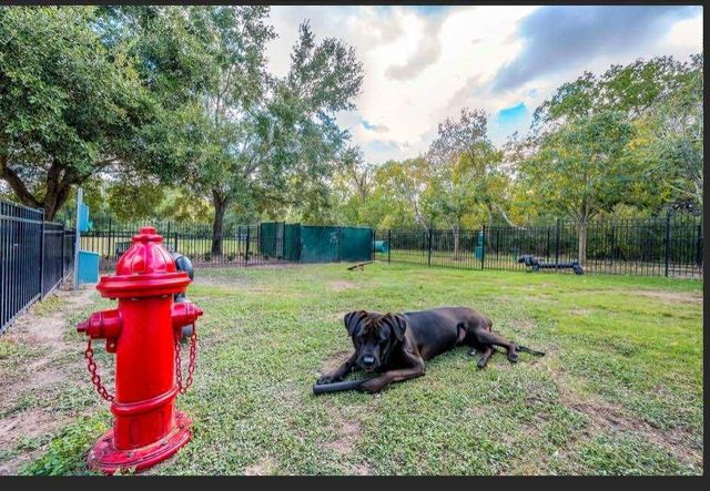 529 Barker Clodine Road Juniper, Houston, TX 77094