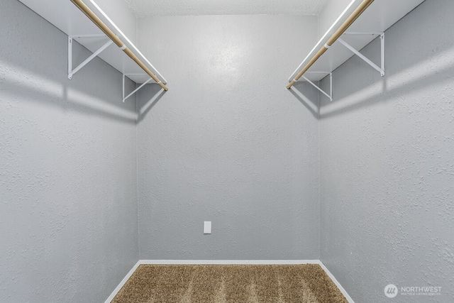 4301 E F Street, Tacoma, WA 98404