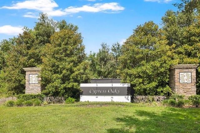 9248 CHANDLER DRIVE, Groveland, FL 34736