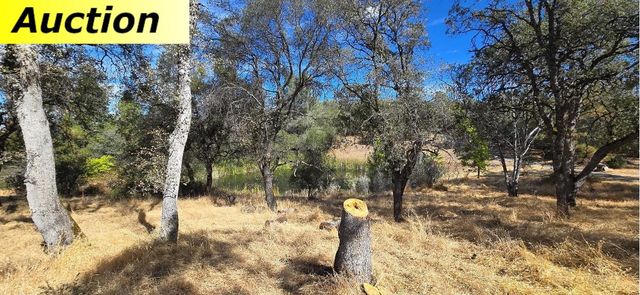 10486 To Hell and Back Ln, Rough And Ready, CA 95975