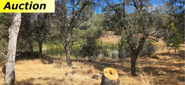 10486 To Hell and Back Ln, Rough And Ready, CA 95975