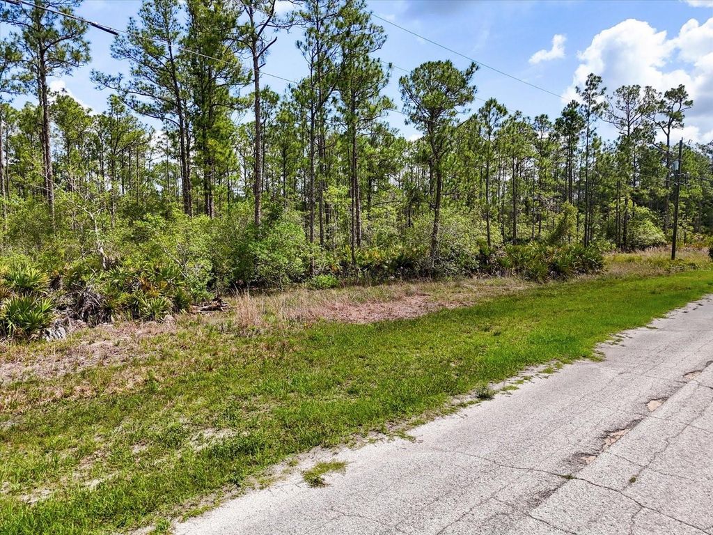 LOT 61 MEADOW LARK BOULEVARD, Lake Wales, FL 33898